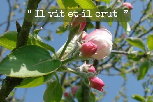 Il vit et il crut